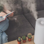 6 Signs You Need a Humidifier