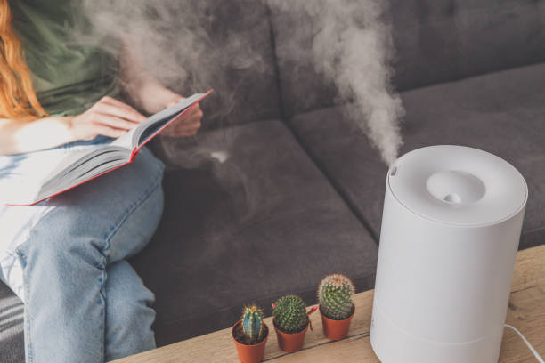 6 Signs You Need a Humidifier